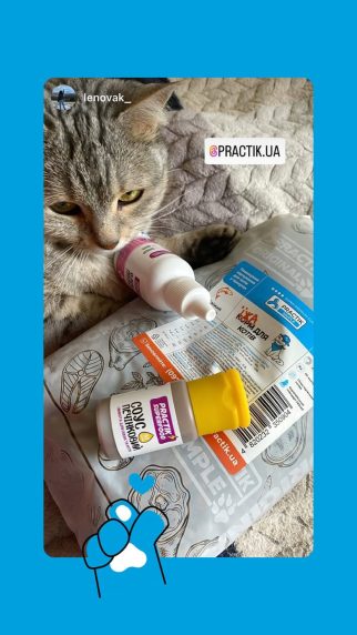 Їжа для котів «Свіжий лосось» Practik Simple - купити онлайн від українського виробника Practik, фото 25