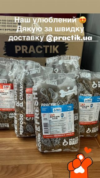 Їжа для котів «Свіжий лосось» Practik Simple - купити онлайн від українського виробника Practik, фото 23