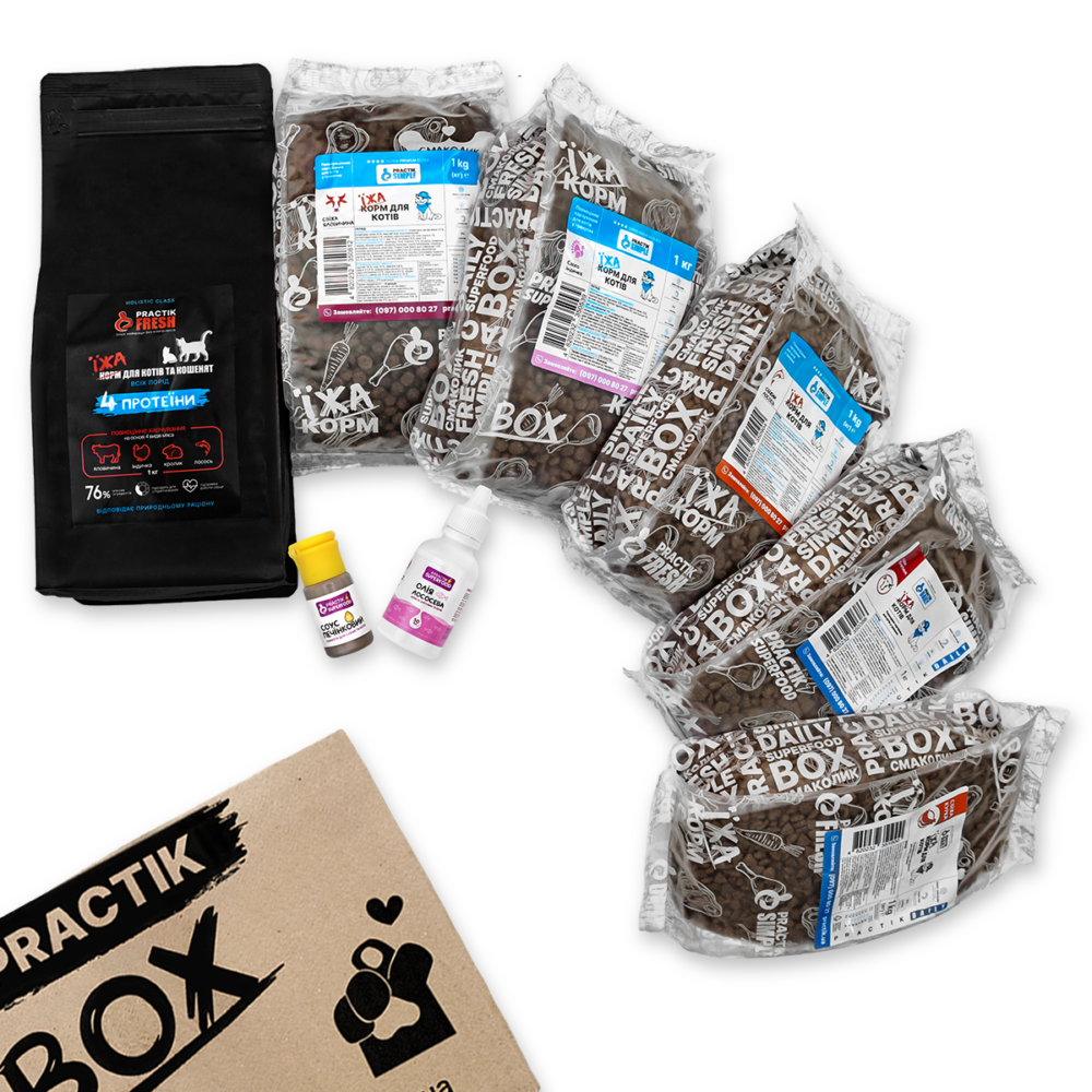 Practik Box для котів - купити онлайн від українського виробника Practik, фото 8