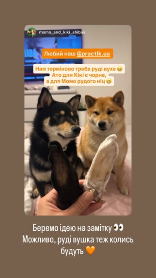 собака гризе вуха кролика з хутром Practik натуральний жувальний смаколик відгук - купити онлайн від українського виробника Practik, фото 1