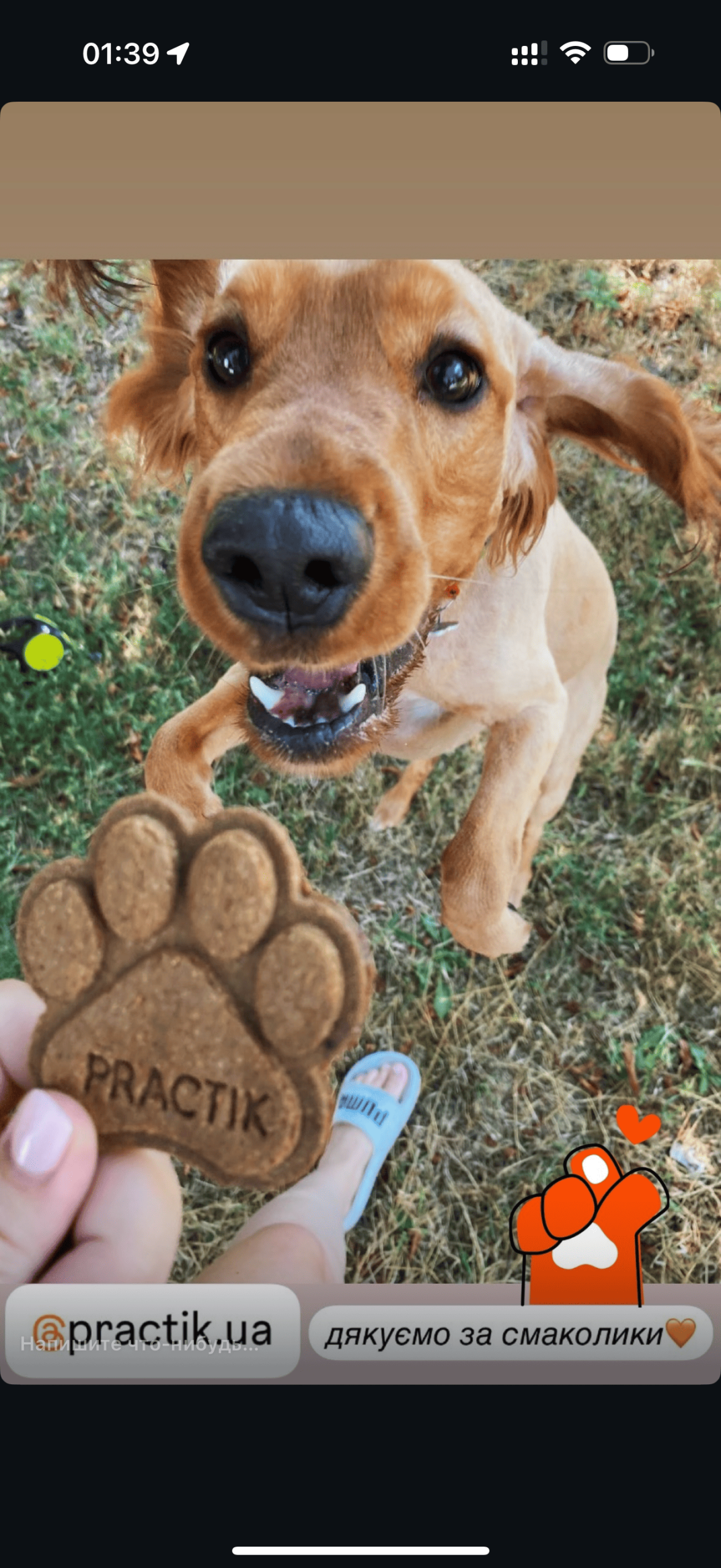 Practik Смаколик - купити онлайн від українського виробника Practik