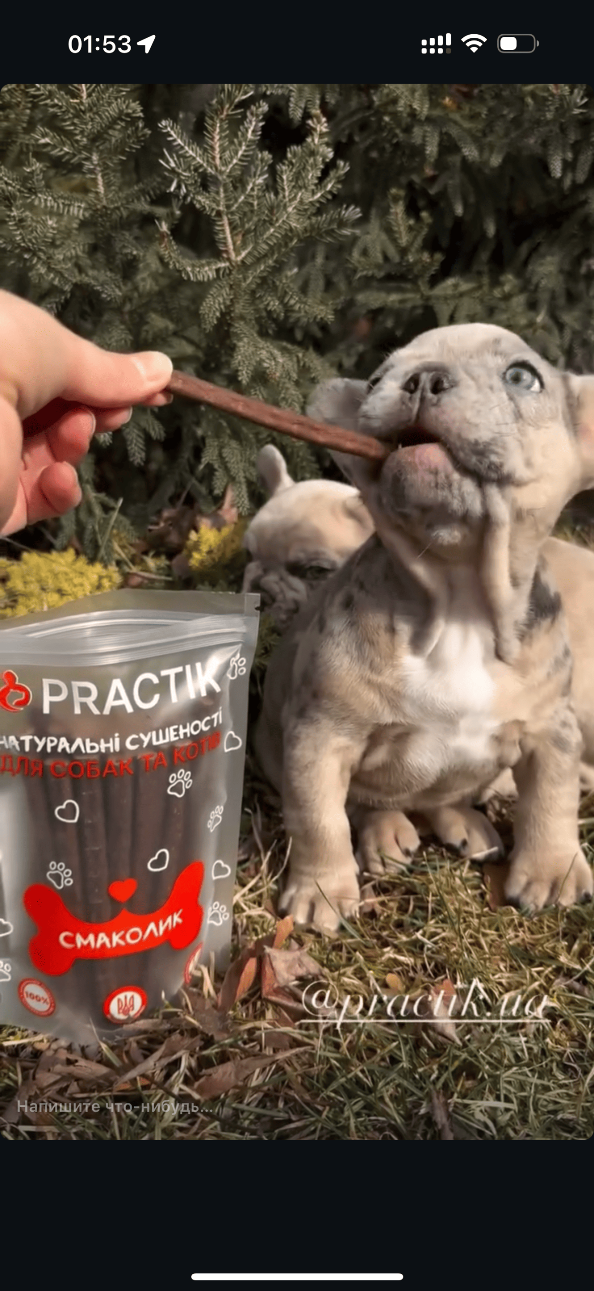 Practik Смаколик - купити онлайн від українського виробника Practik