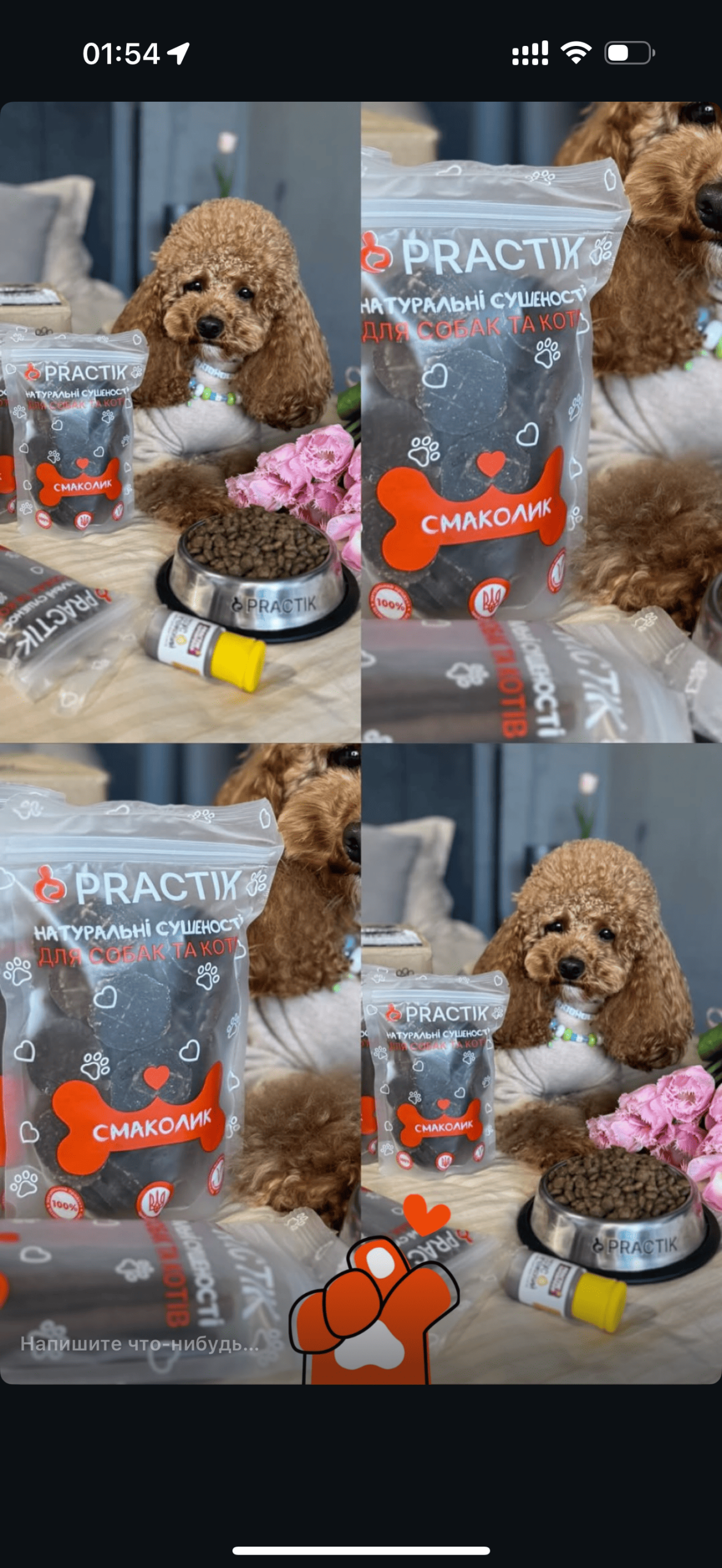Practik Смаколик - купити онлайн від українського виробника Practik