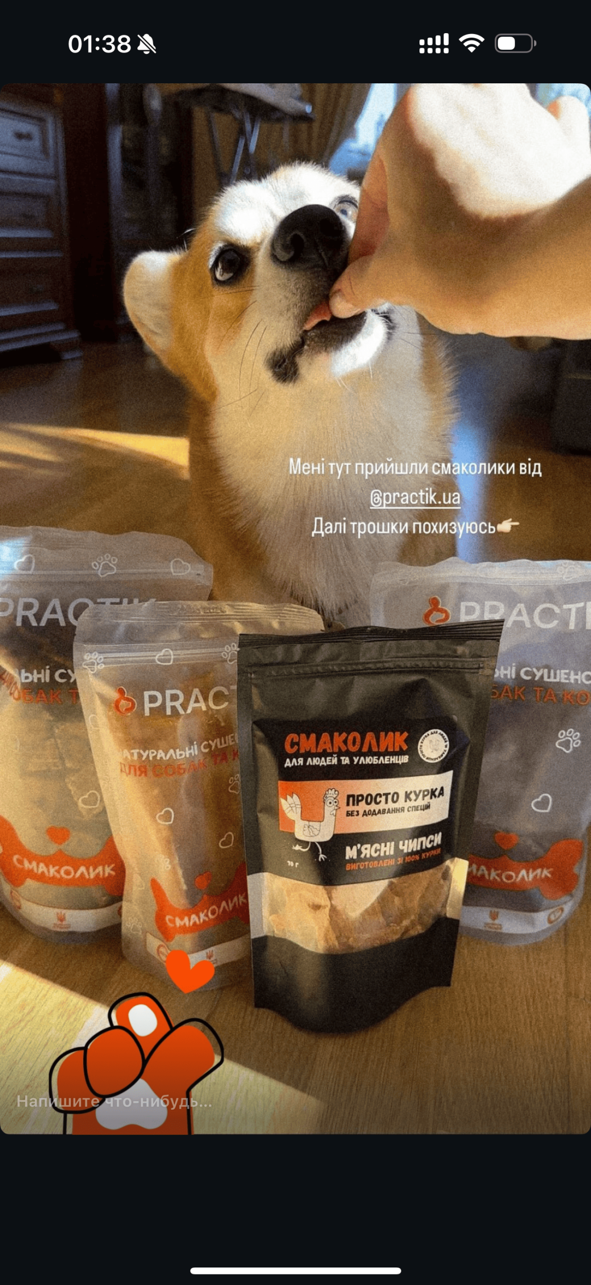 Practik Смаколик - купити онлайн від українського виробника Practik