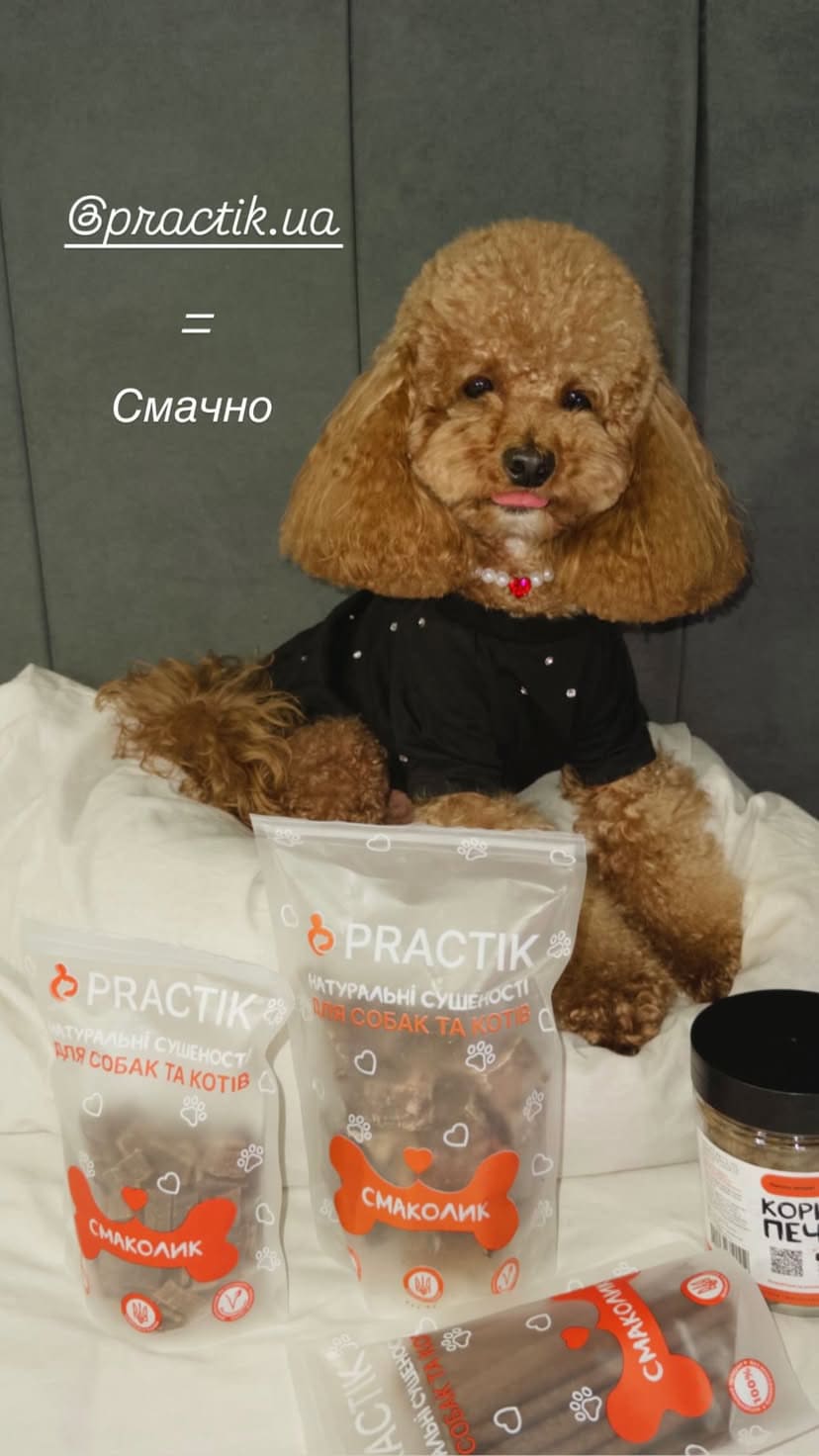 Practik Смаколик - купити онлайн від українського виробника Practik