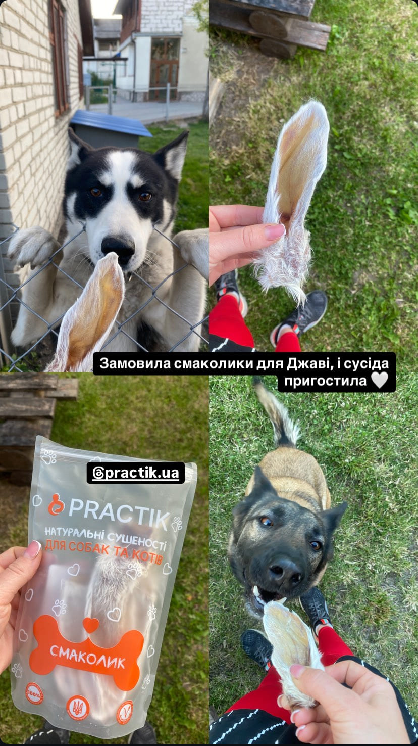 Practik Смаколик - купити онлайн від українського виробника Practik