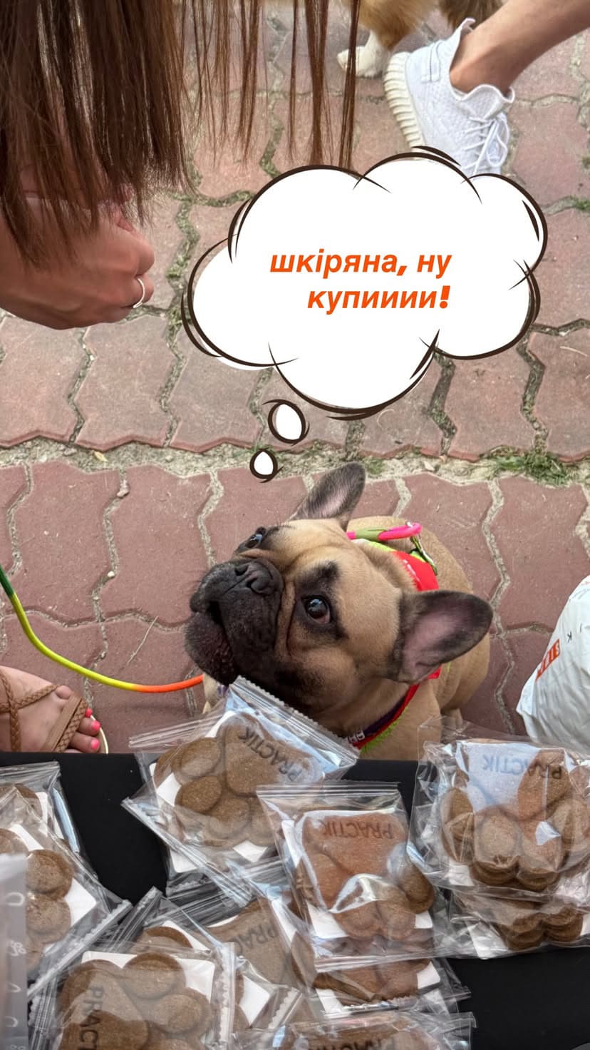Practik Смаколик - купити онлайн від українського виробника Practik