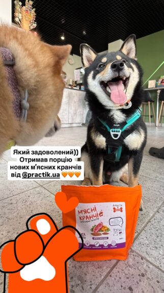 собака ласує м’ясними кранчами Practik хрусткий натуральний смаколик відгук - купити онлайн від українського виробника Practik, фото 1