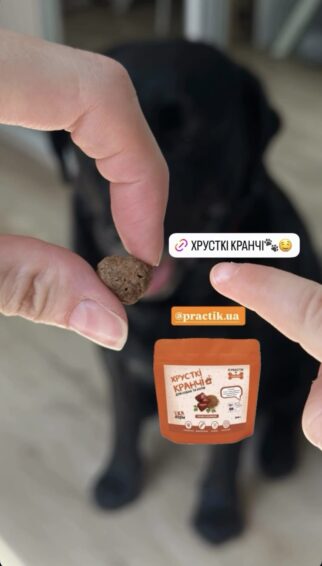 гіпоалергенні кранчі Practik з гречкою та печінкою натуральний смаколик для собак - купити онлайн від українського виробника Practik, фото 1