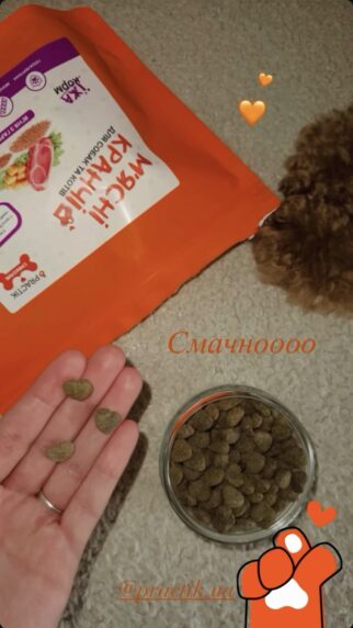 монопротеїнові кранчі Practik з ягням та гарбузом натуральний смаколик для собак - купити онлайн від українського виробника Practik, фото 1