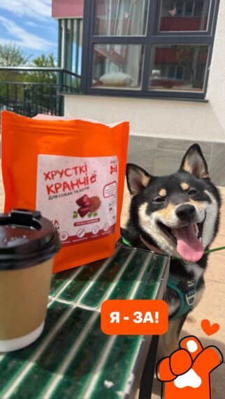 собака їсть гіпоалергенні кранчі Practik з гречкою та печінкою хрусткий натуральний смаколик для собак - купити онлайн від українського виробника Practik, фото 1
