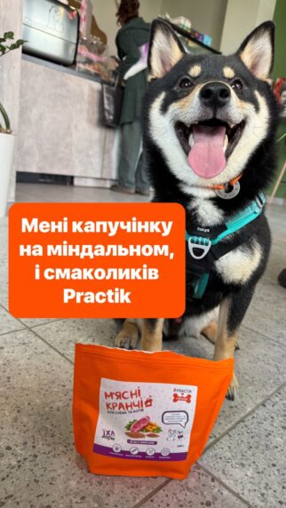 онопротеїнові м’ясні кранчі Practik з ягням та гарбузом хрусткий натуральний смаколик для собак і котів - купити онлайн від українського виробника Practik, фото 1