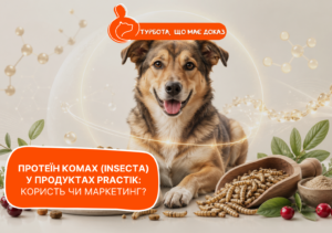 Інноваційний протеїн комах (Insecta): гіпоалергенне рішення для собак від PRACTIK - стаття від експертів Practik, фото 3
