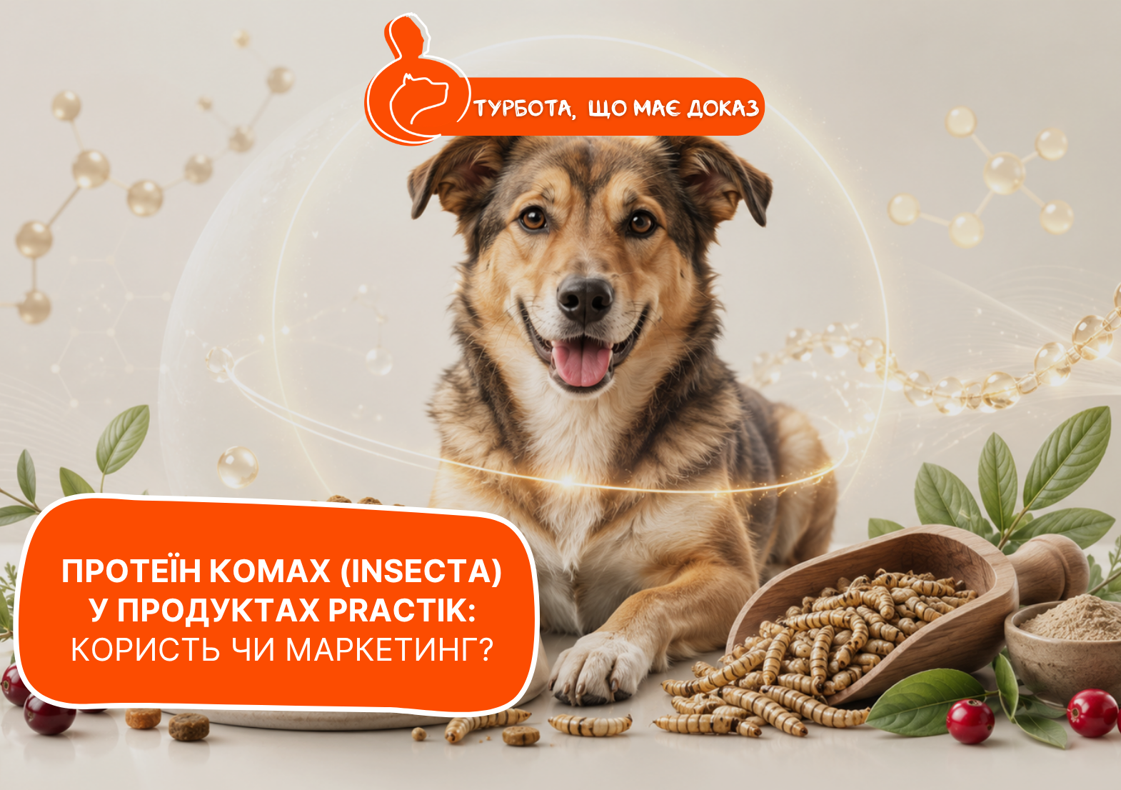 Інноваційний протеїн комах (Insecta): гіпоалергенне рішення для собак від PRACTIK - стаття від експертів Practik, фото 1
