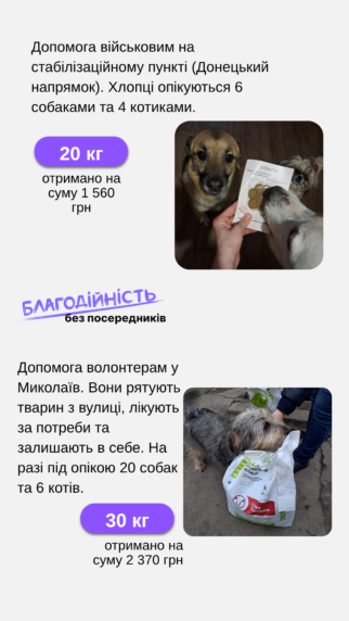 Їжа для котика, що чекає на дім - купити онлайн від українського виробника Practik, фото 14
