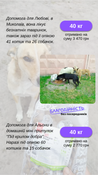 Їжа для котика, що чекає на дім - купити онлайн від українського виробника Practik, фото 12