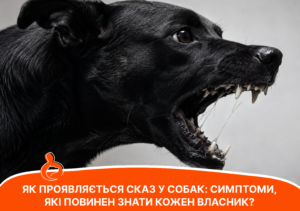 Як проявляється сказ у собак - стаття від експертів Practik, фото 3