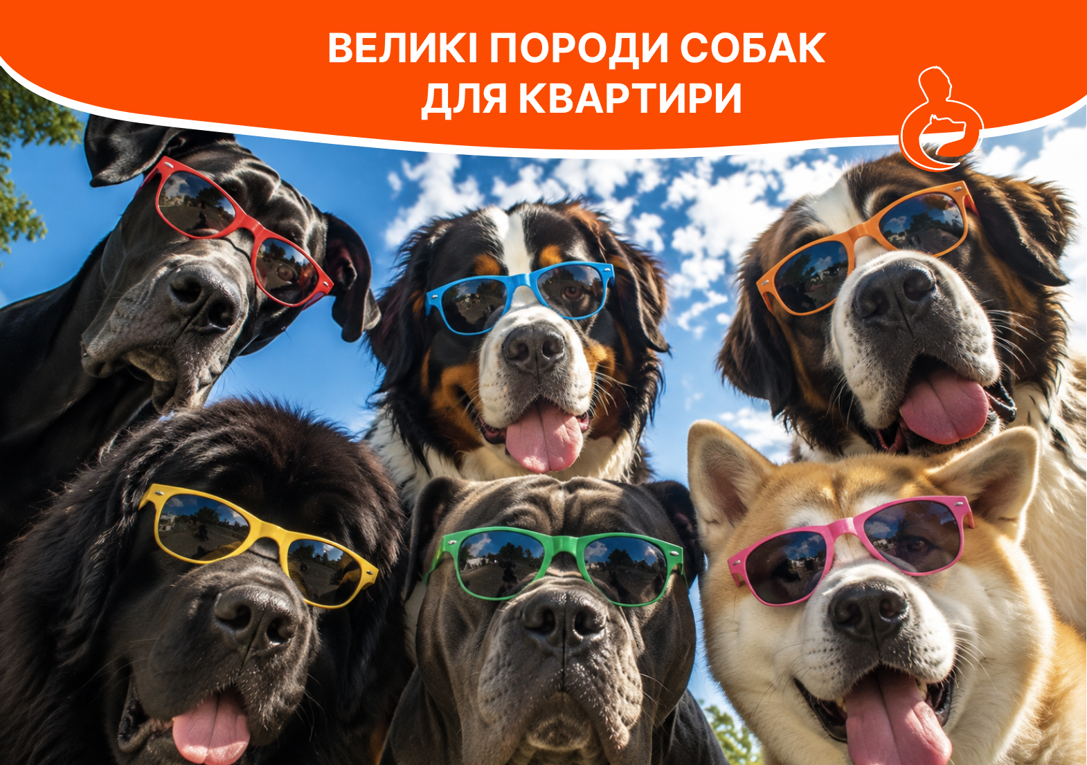 Великі породи собак для квартири - стаття від експертів Practik, фото 1