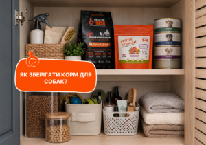 Як зберігати корм для собак - стаття від експертів Practik, фото 2